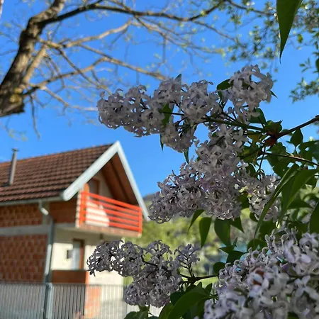 펜션 River View Tiny House With Garden *